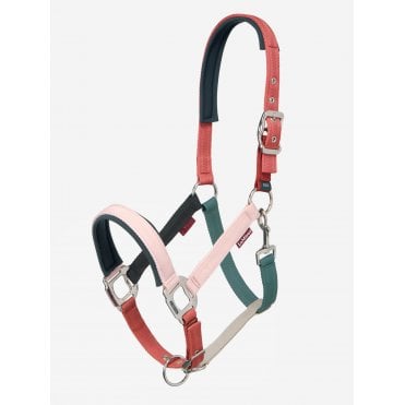 Medley Headcollar