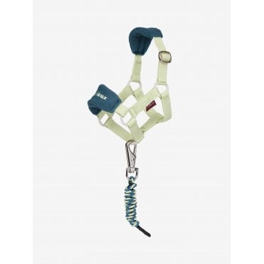 LeMieux Mini Toy Pony Headcollar