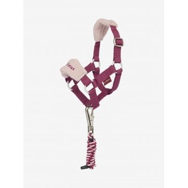 Mini Toy Pony Headcollar