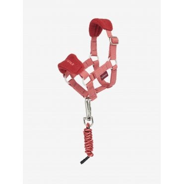 Mini Toy Pony Headcollar