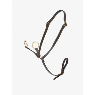 Toy Pony Martingale