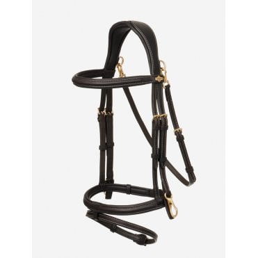 Work Bridle