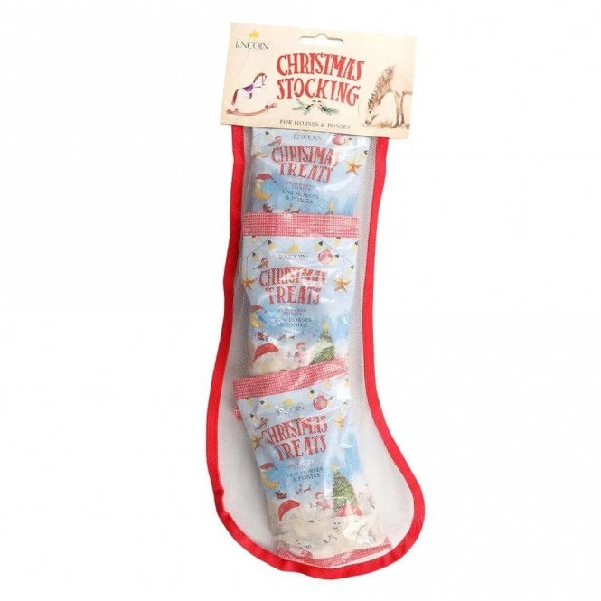 Lincoln Christmas Stocking