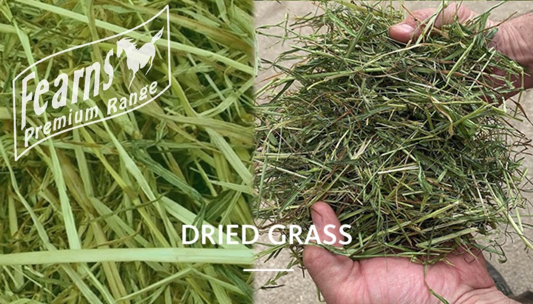 Dried Grass