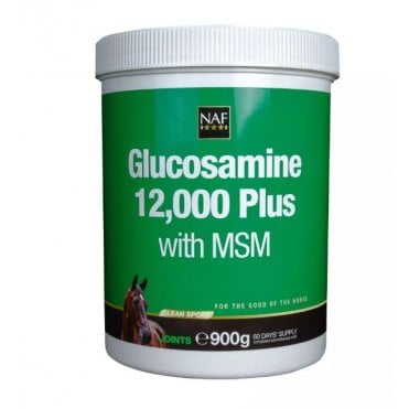 Glucosamine 12,000 Plus with MSM