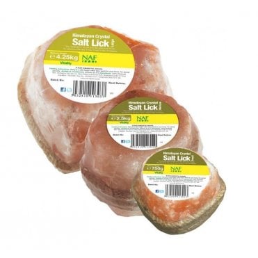 Himalayan Salt Lick