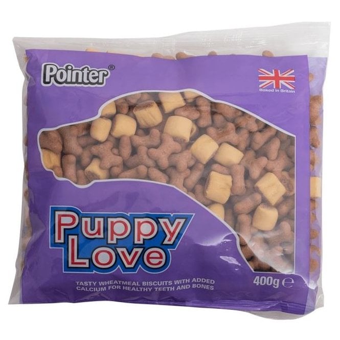 Pointer Puppy Love