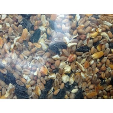 Wild Bird Garden Mix