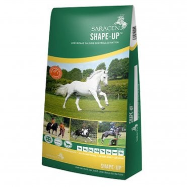 Shape-Up Balancer