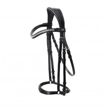 Pisa Anatomical Bridle