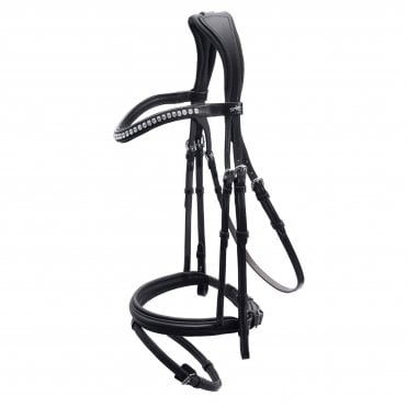 Rome Select Bridle