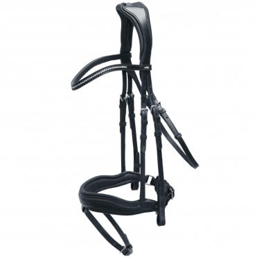 Stanford Anatomical Bridle