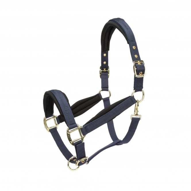 Shires ARMA Padded Headcollar
