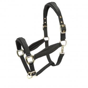 ARMA Padded Headcollar