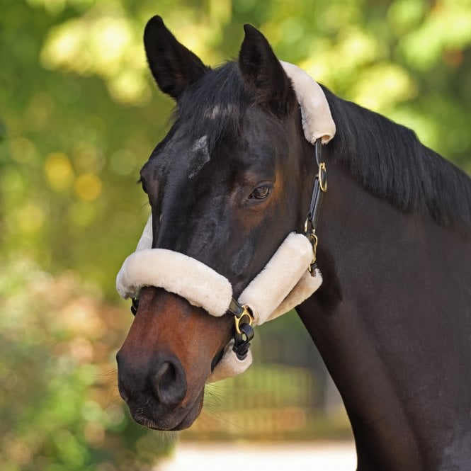 Shires ARMA SupaFleece Halter Fleeces
