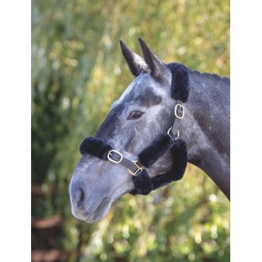 ARMA SupaFleece Halter Fleeces
