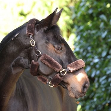 ARMA SupaFleece Halter Fleeces