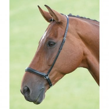 Blenheim Drop Noseband