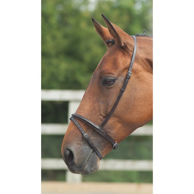 Shires Blenheim Flash Noseband