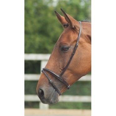 Blenheim Flash Noseband