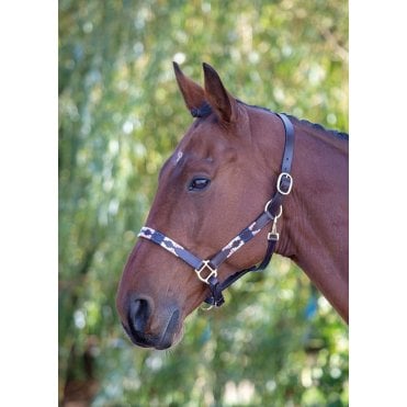 Blenheim Leather Polo Headcollar
