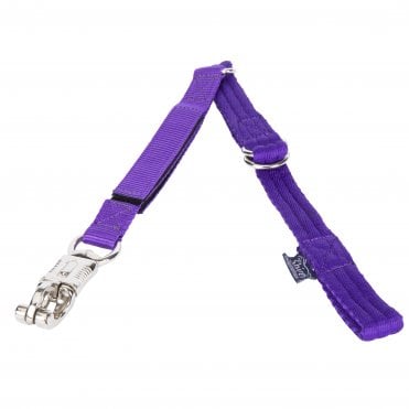 Breakaway Trailer Tie