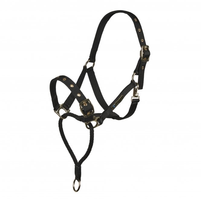 Shires Control Headcollar