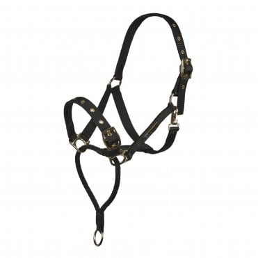 Control Headcollar