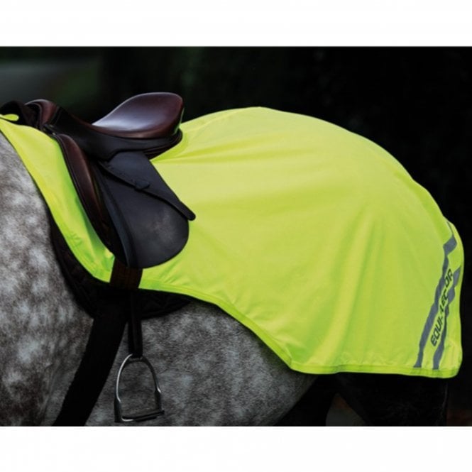 Shires Equi- Flector© Exercise Sheet