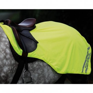 Equi- Flector© Exercise Sheet