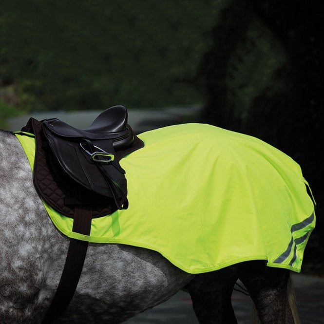 Shires Equi-Flector© Mesh Exercise Sheet
