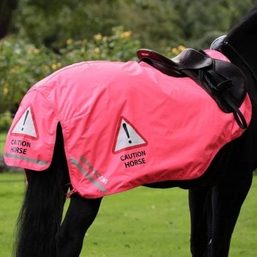 Equi- Flector© Waterproof Exercise Sheet