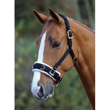Fleece Lined Lunge Cavesson