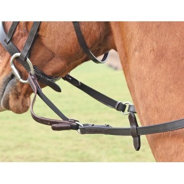 Flexi-Rein
