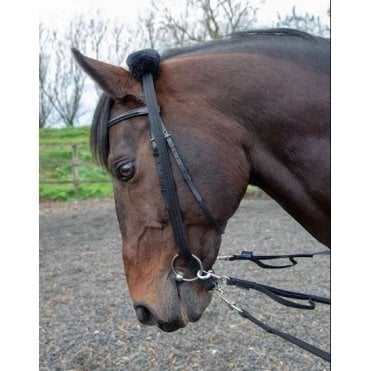 Lunging Adapter