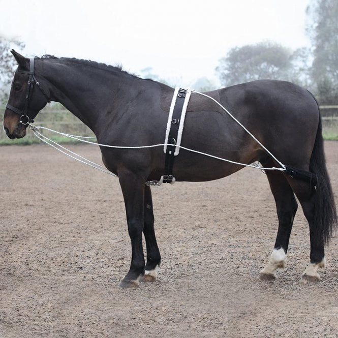 Shires Lunging Aid