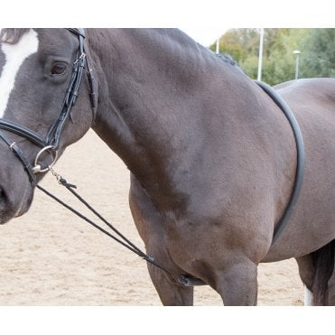 Soft Lunging Aid