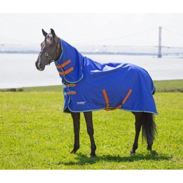 Tempest Original 50 Combo Turnout Rug