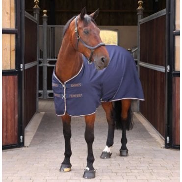 Tempest Original Stable Sheet