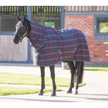 Tempest Plus 100 Stable Combo Rug