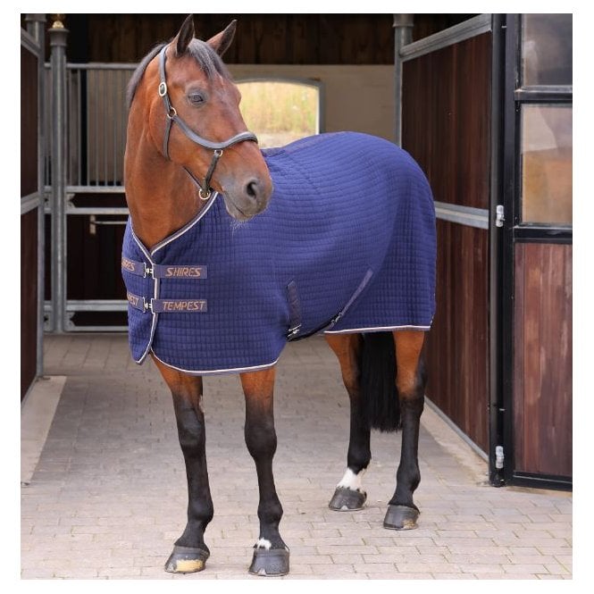 Shires Tempest Tech Cooler Rug