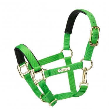 Topaz Nylon Headcollar