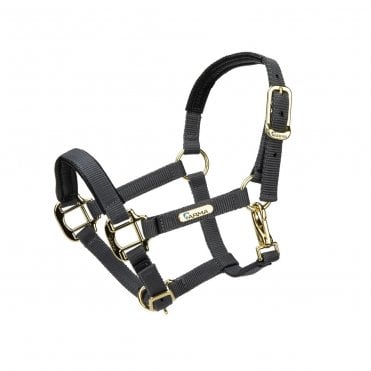 Topaz Nylon Headcollar