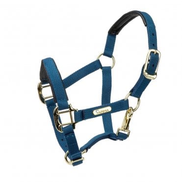 Topaz Nylon Headcollar
