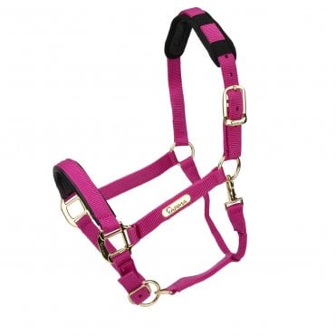 Topaz Nylon Headcollar