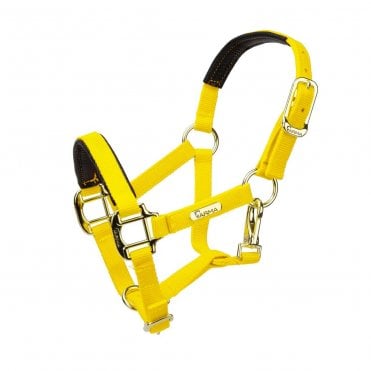 Topaz Nylon Headcollar