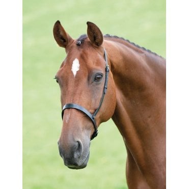 Velociti GARA Cavesson Noseband