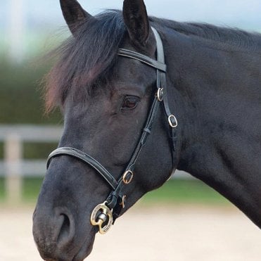 Velociti GARA Fancy Stitched Inhand Bridle