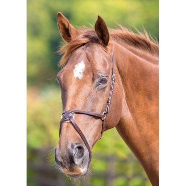 Velociti GARA Mexican Noseband