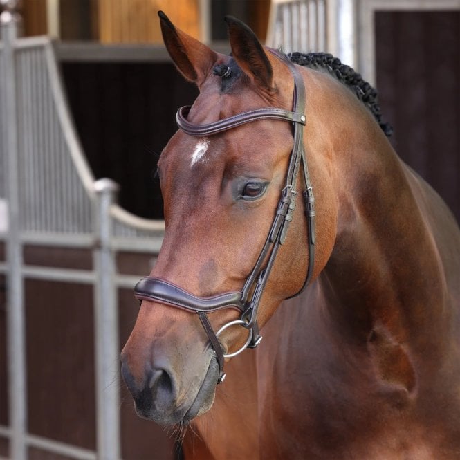 Shires Velociti LUSSO Elite Ergonomic Flash Bridle